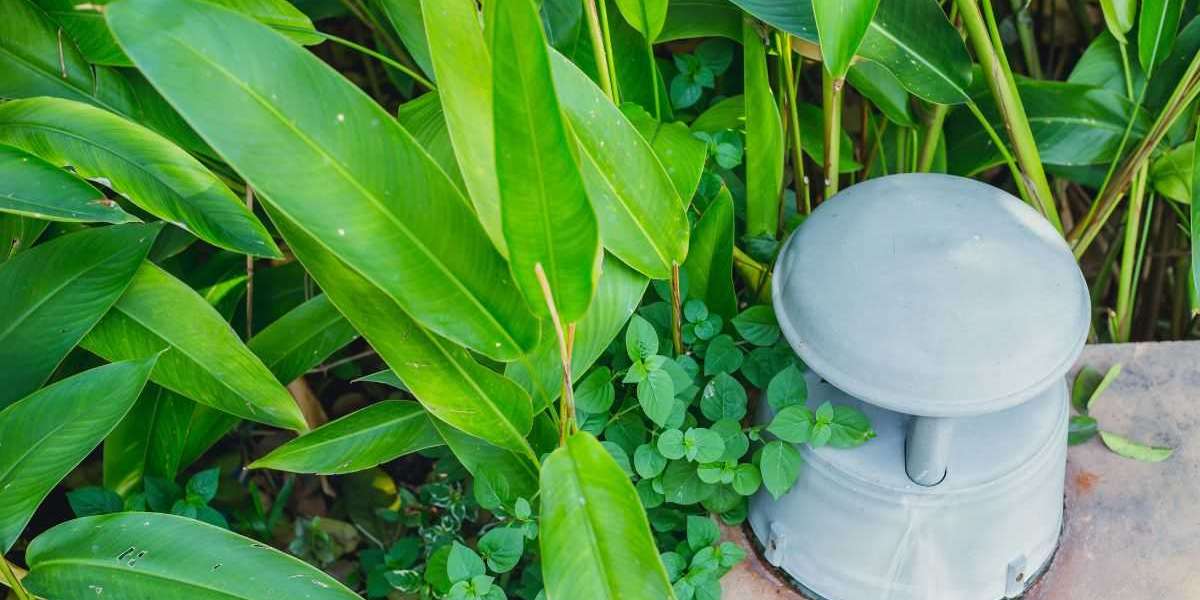 The Benefits of Professional Outdoor Sound System Installation for Homeowners
