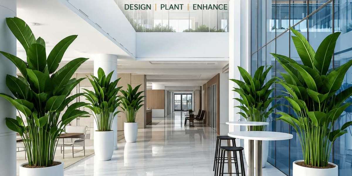 Why Choosing a Professional Landscaping Company Matters for Your Property