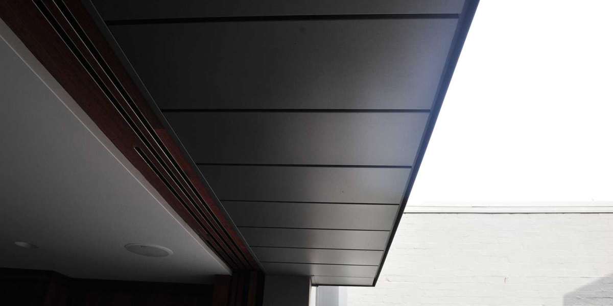 Why Architects Choose Interlocking Panels V25 for Modern Building Facades