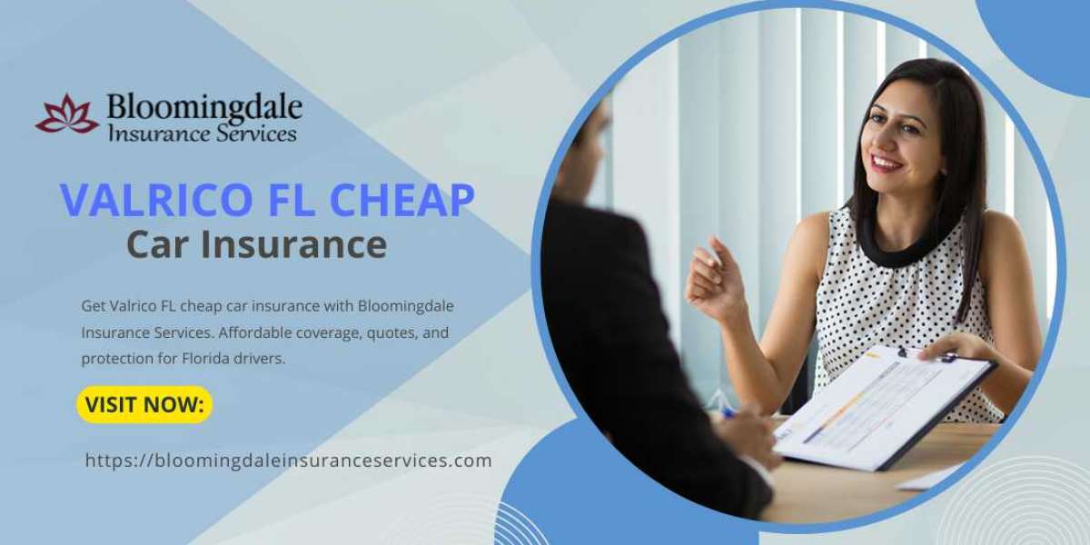 Valrico FL Cheap Car Insurance Plans for Local Drivers Guide | Bloomingdale Insurance Service