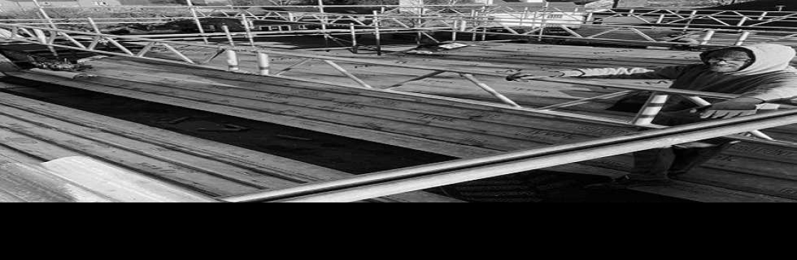 Holmes Scaffolding Ltd Cover Image