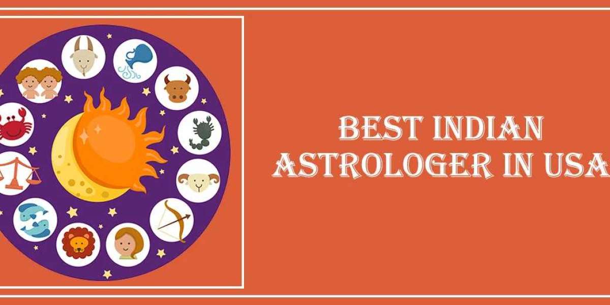 Best Indian Astrologer in Minnesota