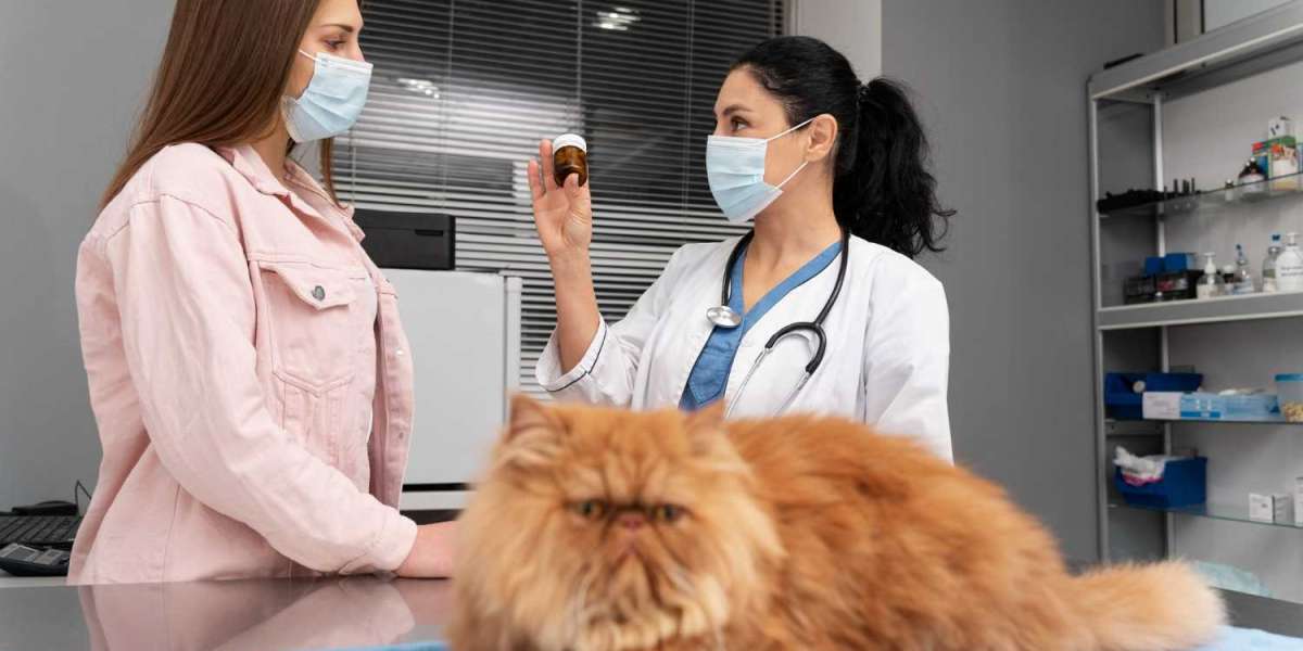 Marana Veterinary Clinic