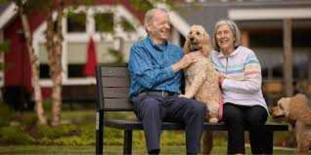 How Independent Living Supports Seniors Looking for Greater Peace of Mind