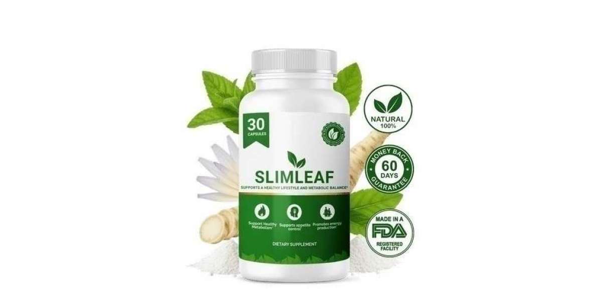 SlimLeaf Reviews [Updated 2026] – A Simple Way to Support Digestive Wellness