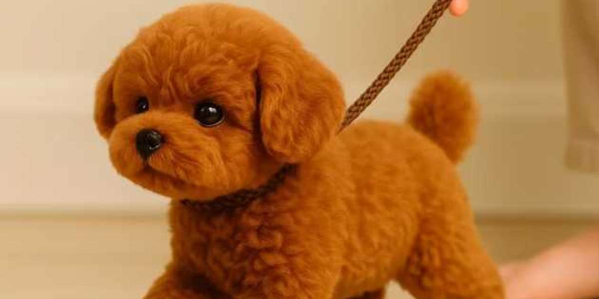 Wuffy Roboter Hund Angebot – Spielen, Lernen und Entdecken mit KI-Technologie[Wuffy Roboter Hund Vergleich]